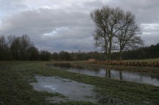 Blanice pod Putimí 19-1-2011a.jpg